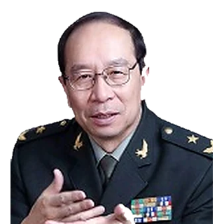 金一南